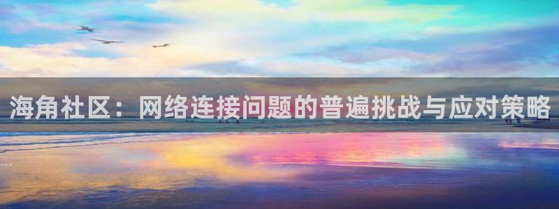 抖音里的海角社区：海角社区：网络连接问题的普遍挑战与应对策略