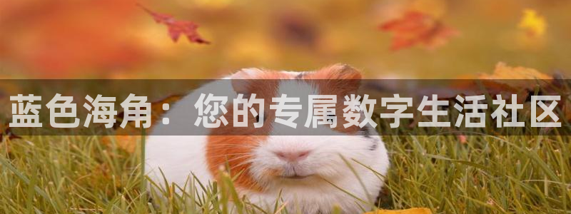 海角社区 建泰：蓝色海角：您的专属数字生活社区