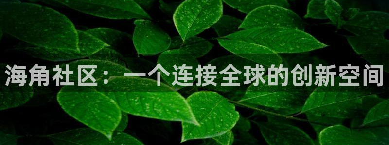 海角社区苹果a海角社区：海角社区：一个连接全球的创新空间