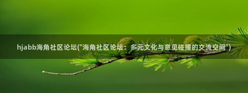 枫桥镇海角社区拆迁计划：hjabb海角社区论坛(\