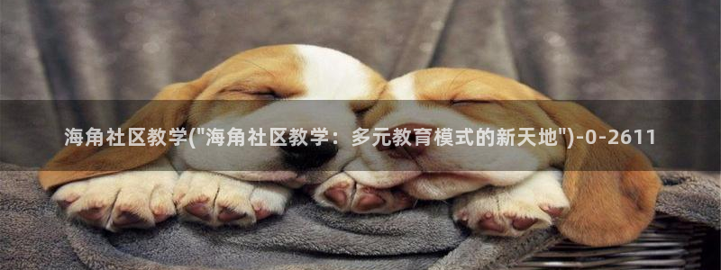 海角社区373：海角社区教学(\