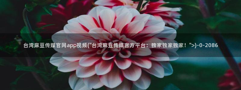mdpun麻豆传媒官网：台湾麻豆传媒官网app视频(\