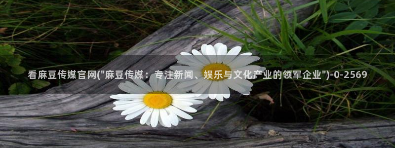 麻豆传媒ios官网：看麻豆传媒官网(\