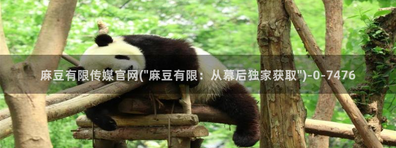 麻豆传媒官网001：麻豆有限传媒官网(\