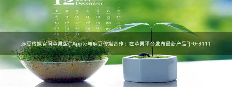 麻豆传媒国产紫光官网：麻豆传媒官网苹果版(\