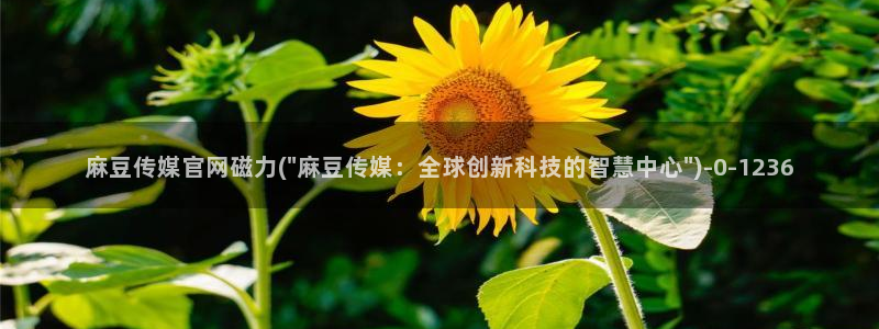 mdpub麻豆传媒官网在线：麻豆传媒官网磁力(\