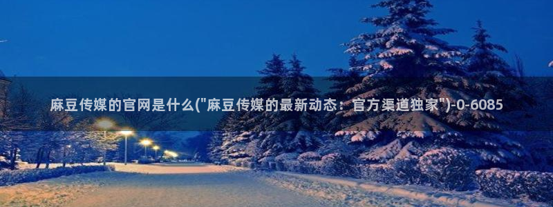 麻豆av传媒官网进入：麻豆传媒的官网是什么(\