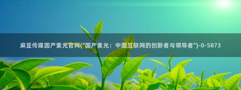 麻豆传媒直播官网最新：麻豆传媒国产紫光官网(\