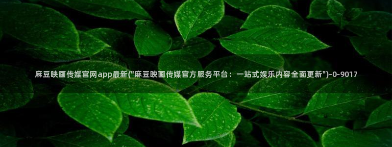 麻豆传媒md官网：麻豆映画传媒官网app最新(\