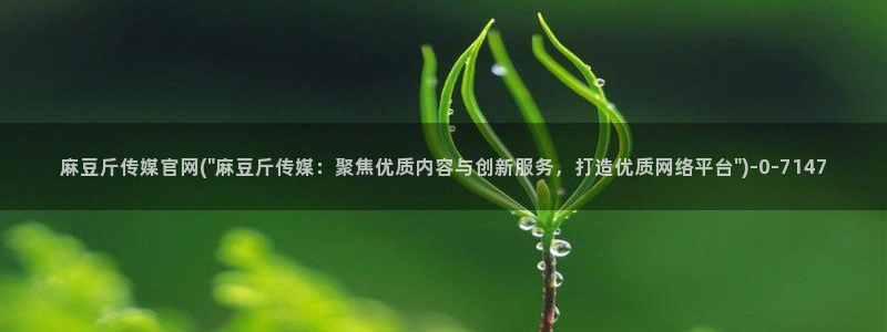 麻豆映传媒官网：麻豆斤传媒官网(\