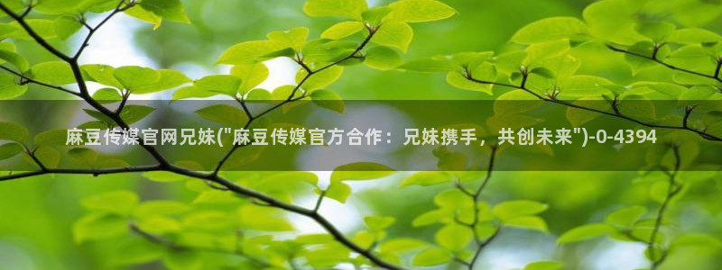 麻豆传媒官网免费观看：麻豆传媒官网兄妹(\