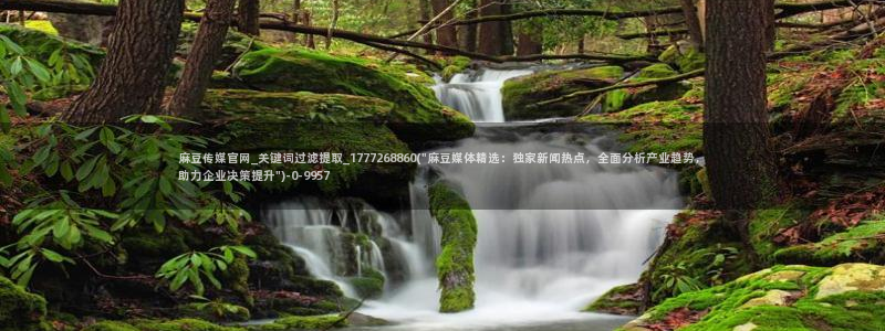 麻豆传媒画映官网：麻豆传媒官网_关键词过滤提取_1777268860(\