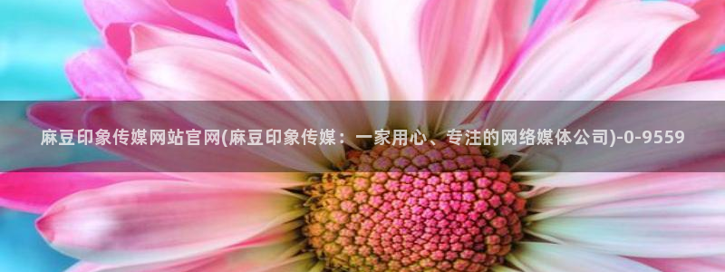 台湾麻豆传媒官网地址