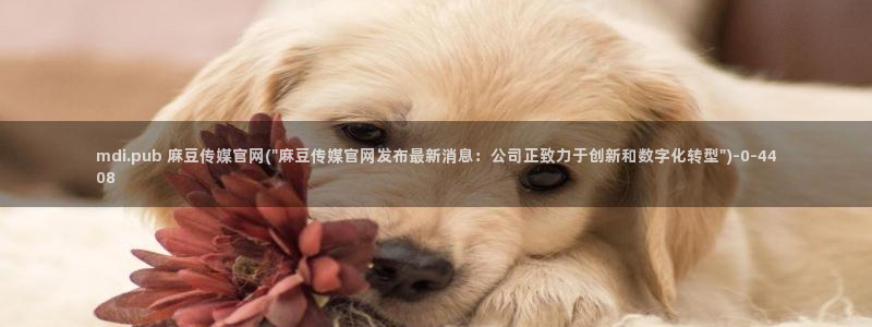 麻豆传媒官网直：mdi.pub 麻豆传媒官网(\