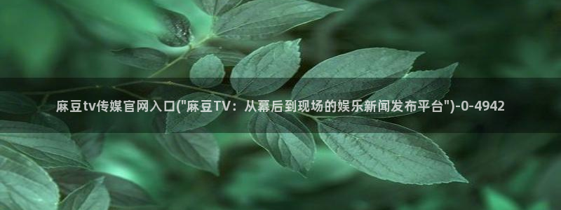 麻豆视传媒官网星辰