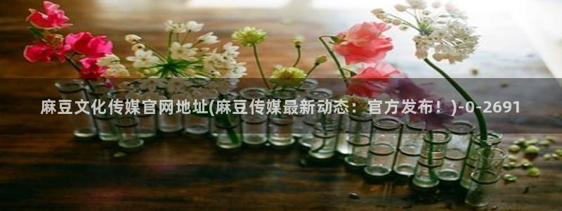 麻豆猫爪传媒官网