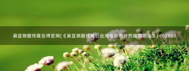 麻豆传媒官网app下载