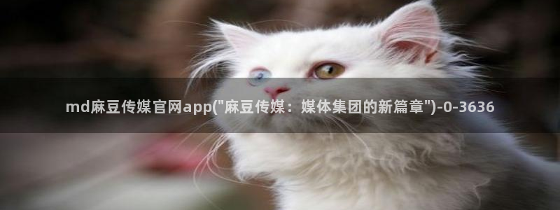 麻豆av传媒官网进入